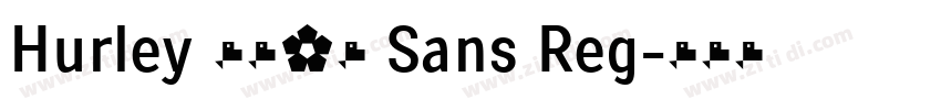 Hurley 1967 Sans Reg字体转换